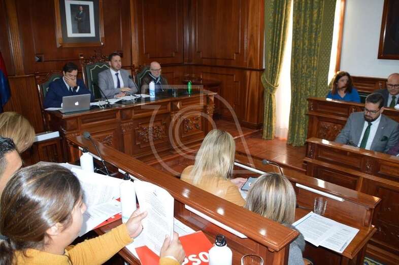 Imagen del Pleno de este viernes (Foto TA)